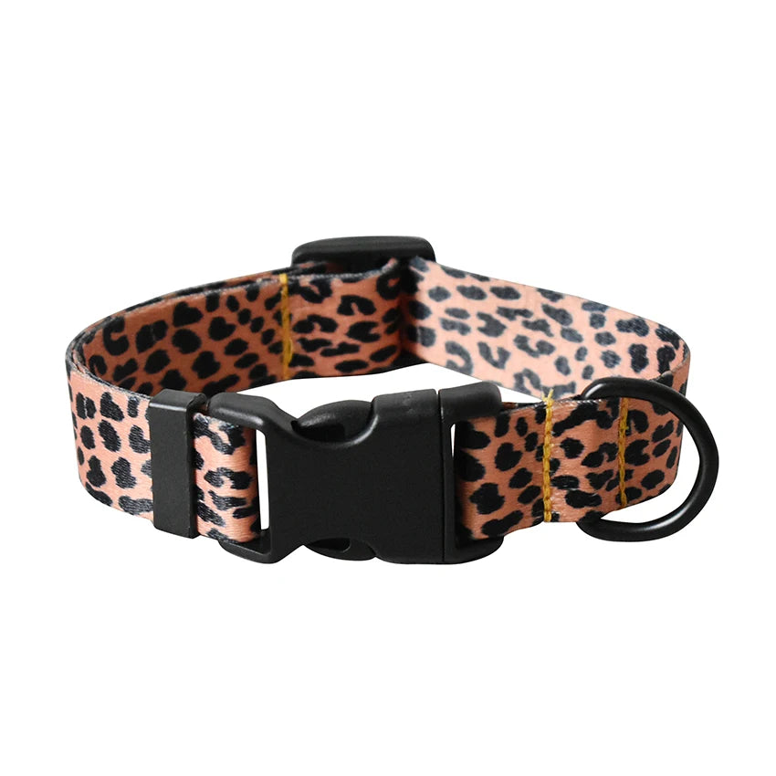Adjustable Nylon Dog Collar