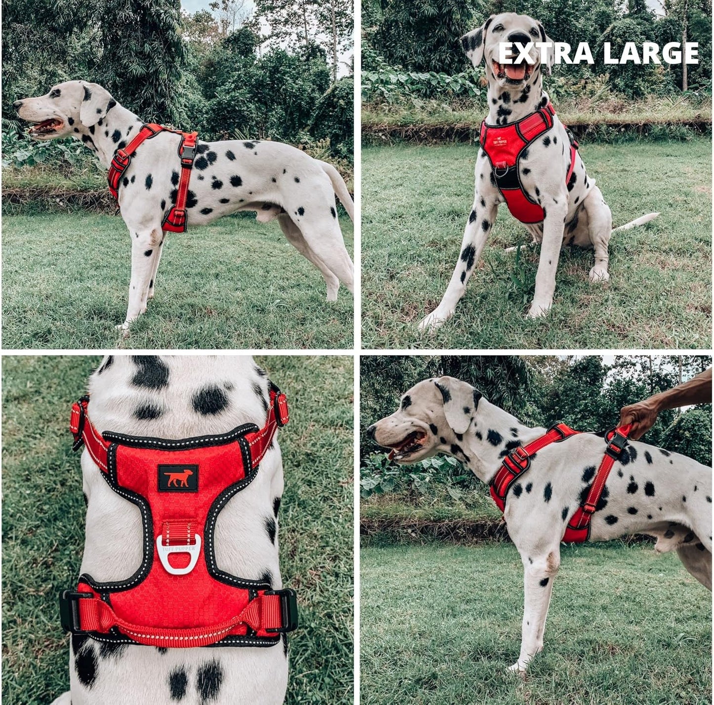 No-Pull Reflective Dog Harness