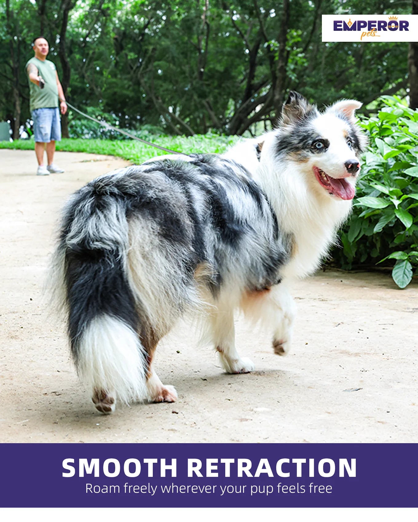 Retractable Dog Leash