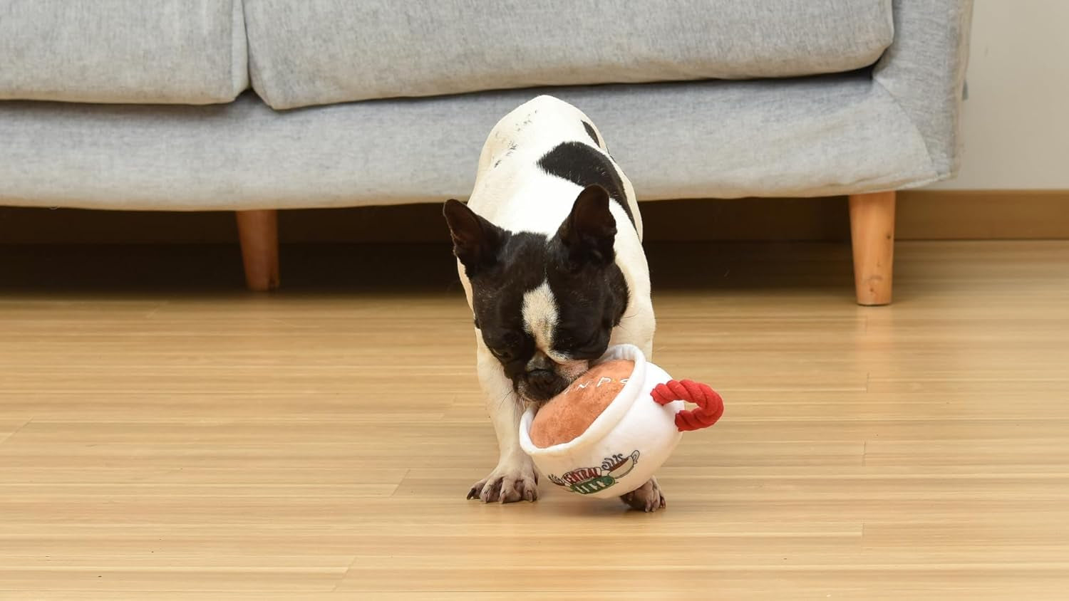 Coffee Cup Plush Dog Toy with Rope Handle