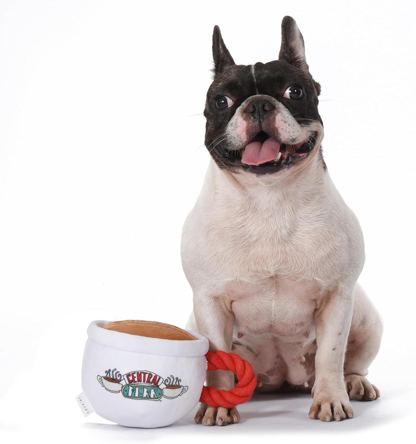 Coffee Cup Plush Dog Toy with Rope Handle