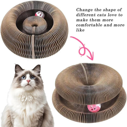 Foldable Cat Scratcher & Play Board
