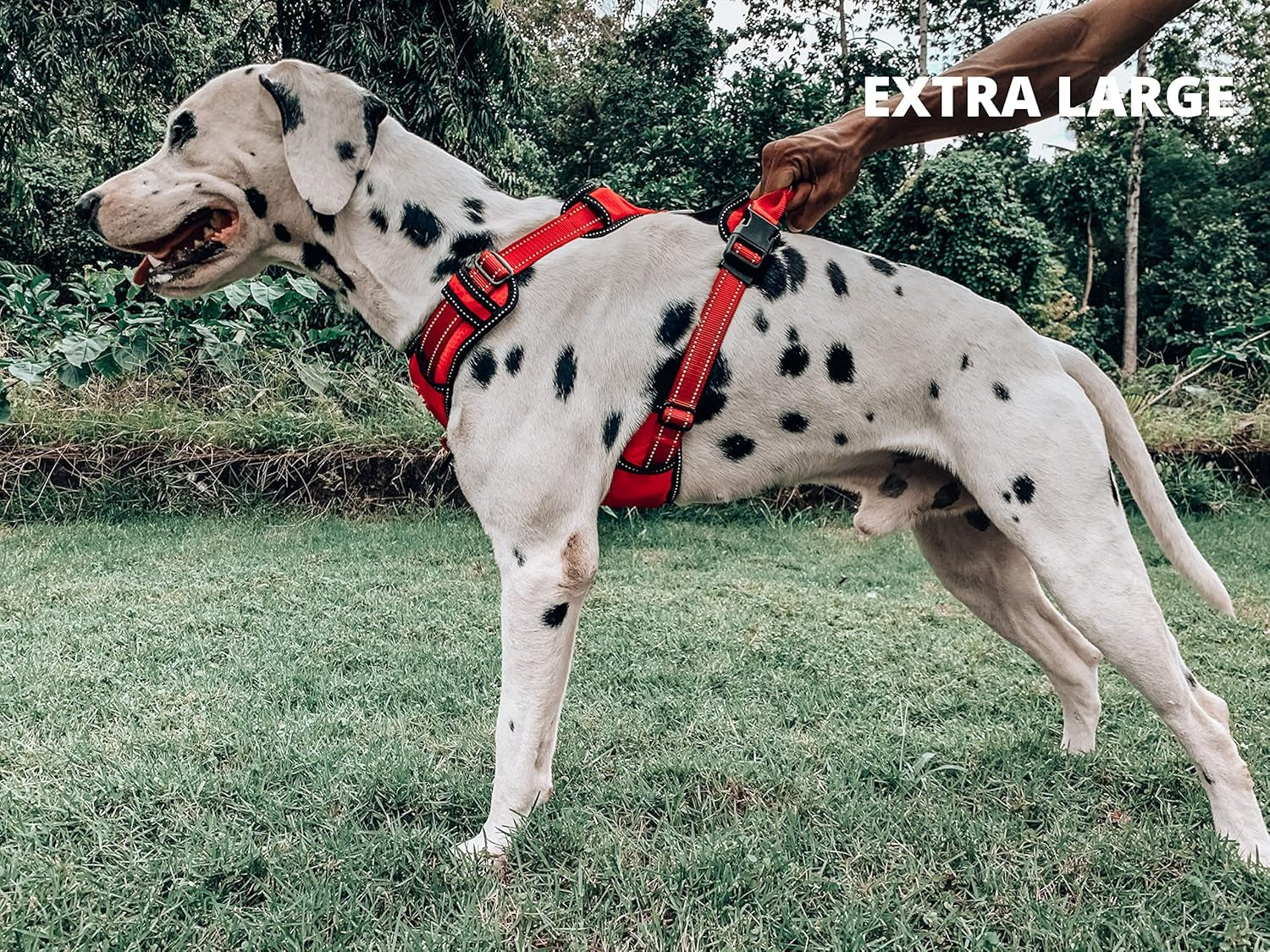 No-Pull Reflective Dog Harness