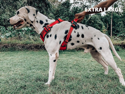 No-Pull Reflective Dog Harness