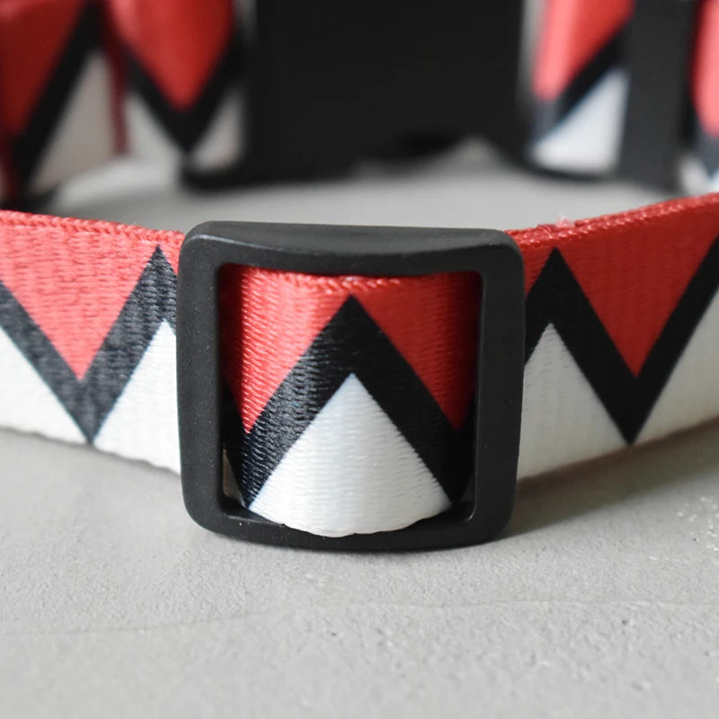 Adjustable Nylon Dog Collar