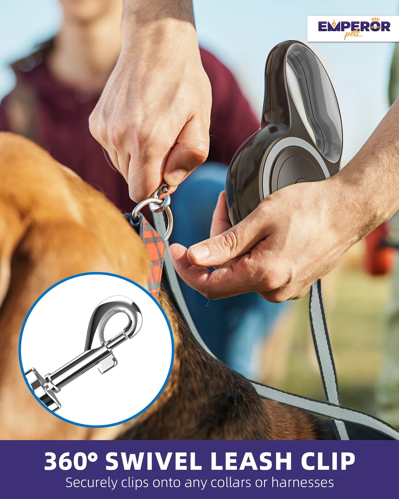Retractable Dog Leash