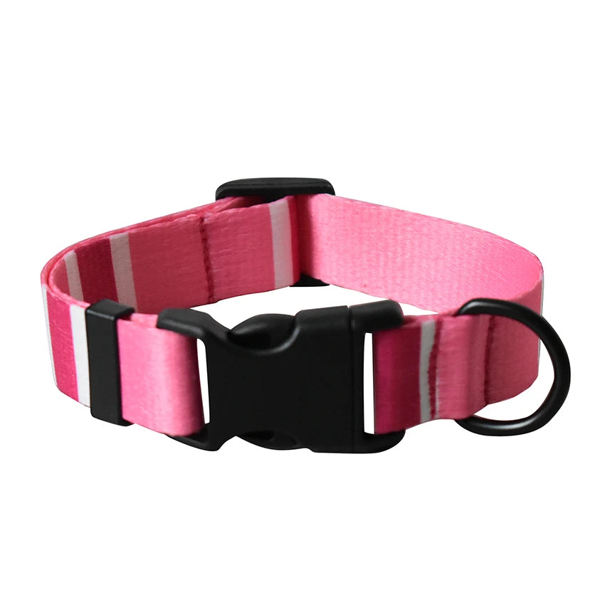 Adjustable Nylon Dog Collar