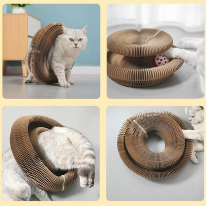 Foldable Cat Scratcher & Play Board
