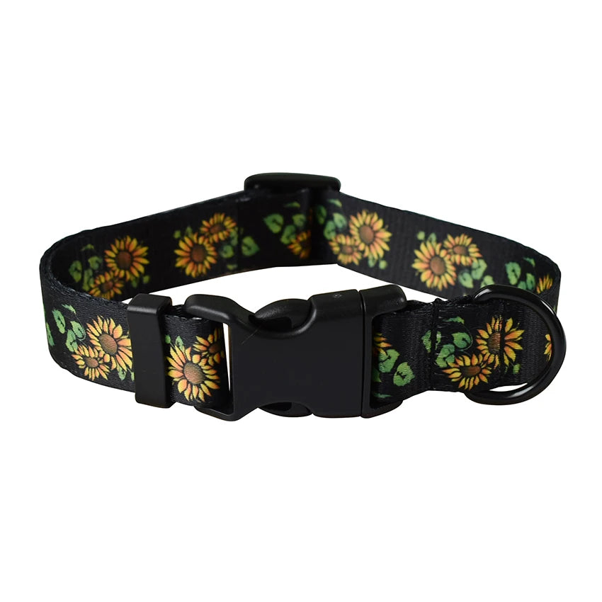 Adjustable Nylon Dog Collar